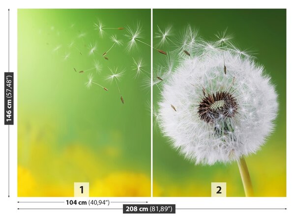 Fototapet Păpădie
