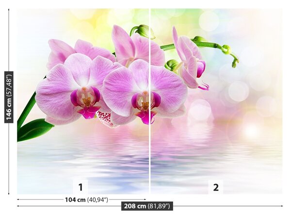 Fototapet Orchid Roses
