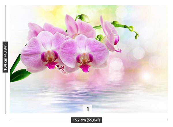 Fototapet Orchid Roses