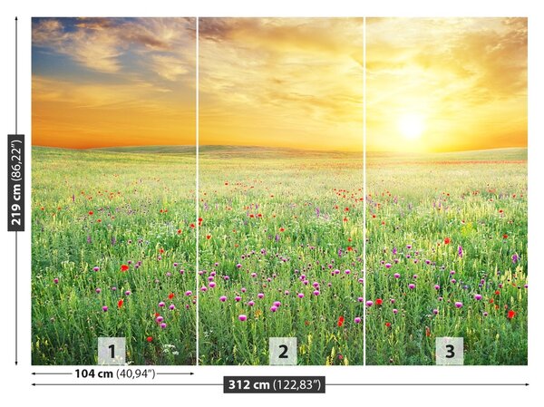 Fototapet Spring Meadow