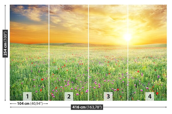 Fototapet Spring Meadow