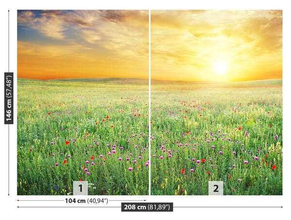Fototapet Spring Meadow