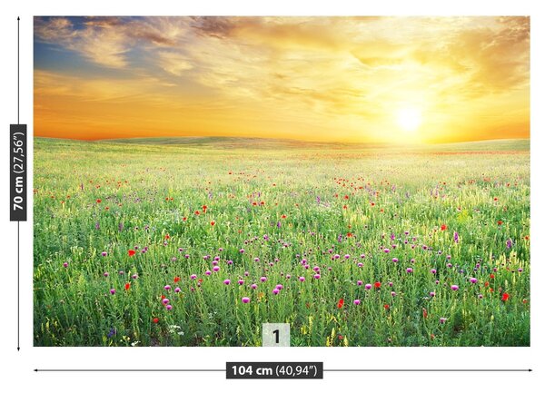 Fototapet Spring Meadow