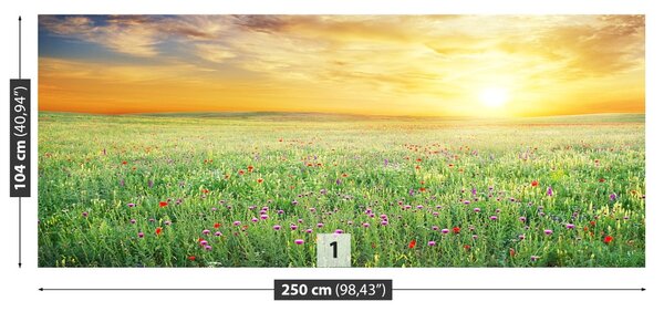 Fototapet Spring Meadow