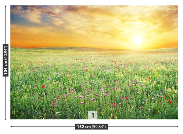 Fototapet Spring Meadow