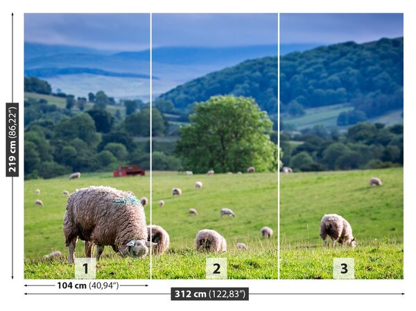 Fototapet Turmă de oi