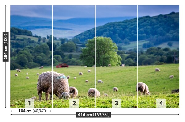 Fototapet Turmă de oi
