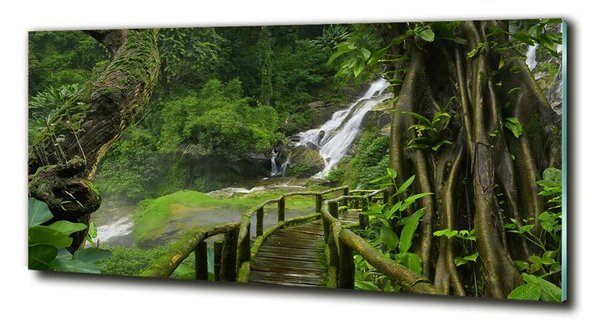 Tablou sticlă Cascada din junglă