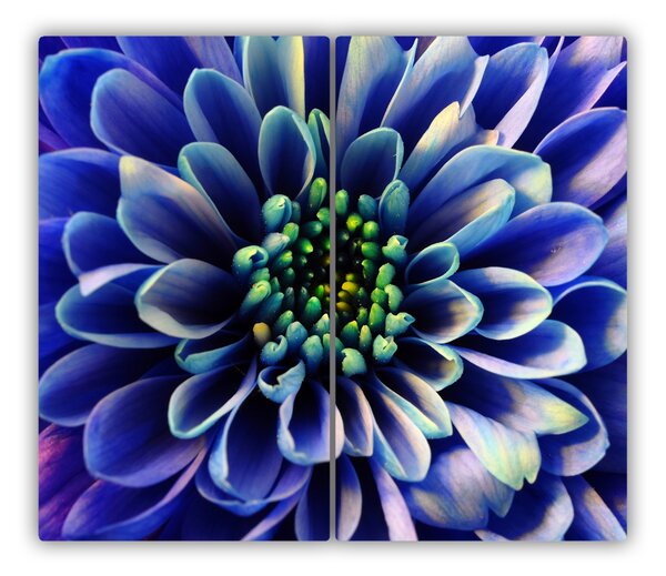 Tocator din sticla Aster