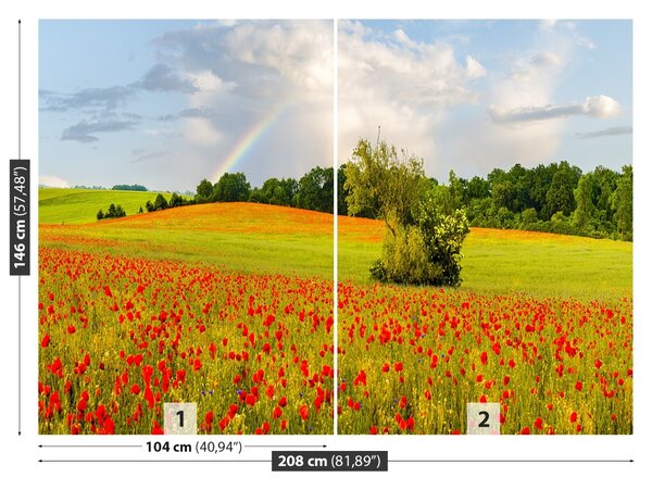 Fototapet Curcubeu de Maci