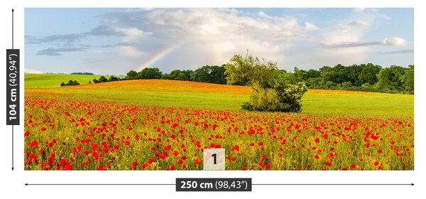 Fototapet Curcubeu de Maci