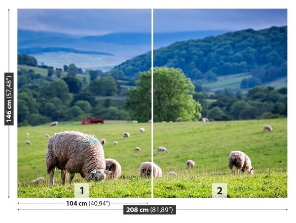 Fototapet Turmă de oi