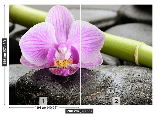 Fototapet Orchid Stones