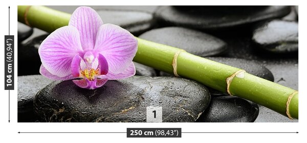 Fototapet Orchid Stones