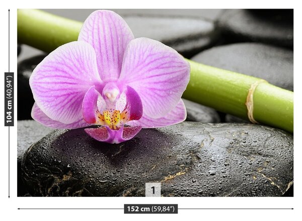 Fototapet Orchid Stones