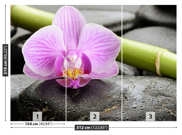 Fototapet Orchid Stones
