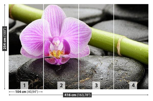 Fototapet Orchid Stones