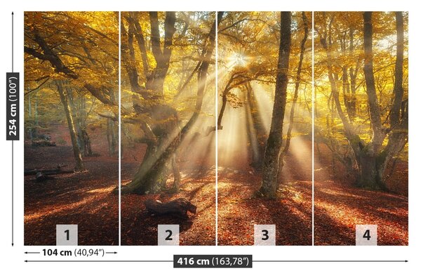 Fototapet Magic Forest