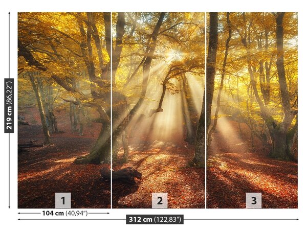 Fototapet Magic Forest