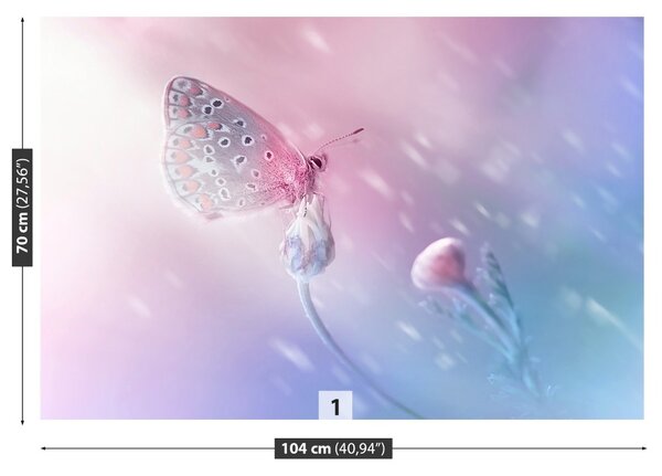 Fototapet Butterfly Flower