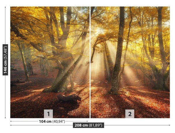 Fototapet Magic Forest