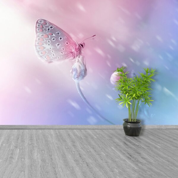 Fototapet Butterfly Flower