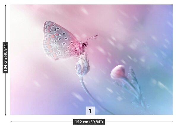 Fototapet Butterfly Flower