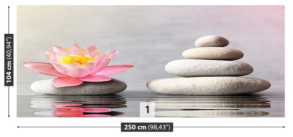 Fototapet Spa pietre