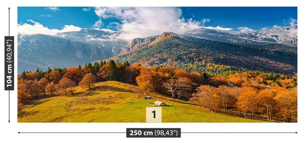 Fototapet Munții În toamna