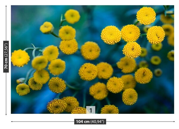 Fototapet galben Flori