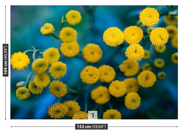 Fototapet galben Flori