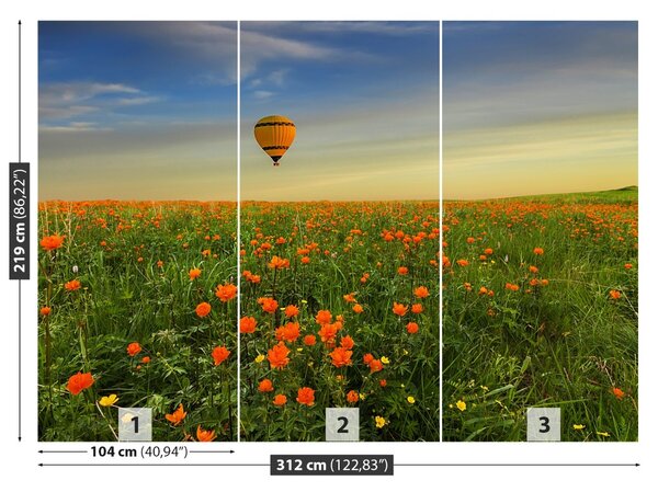 Fototapet Meadow balon