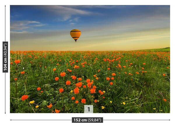 Fototapet Meadow balon