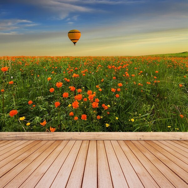 Fototapet Meadow balon