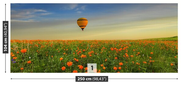 Fototapet Meadow balon