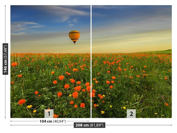 Fototapet Meadow balon