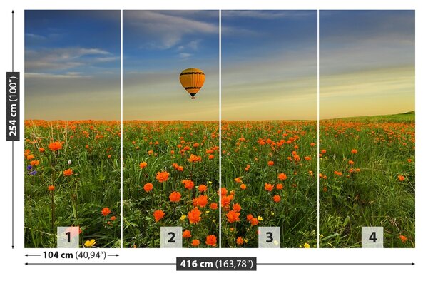 Fototapet Meadow balon
