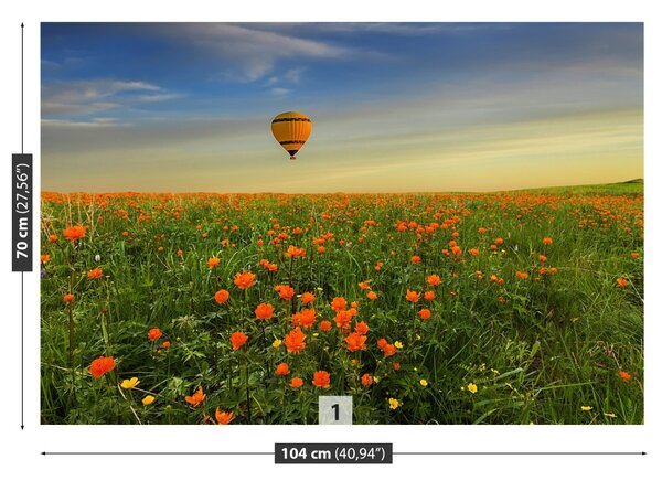 Fototapet Meadow balon