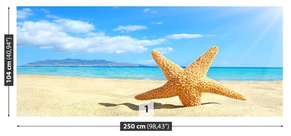 Fototapet Stea de mare. plajă