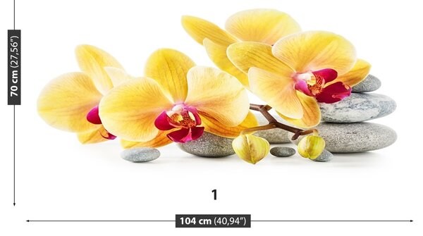 Fototapet Orhidee galben