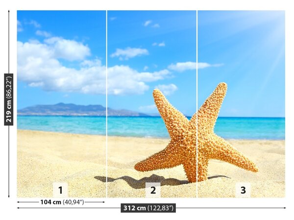 Fototapet Stea de mare. plajă