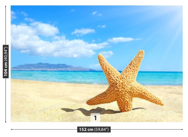 Fototapet Stea de mare. plajă