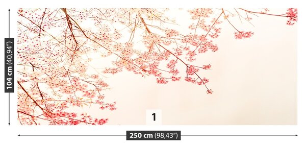 Fototapet Sucursala roşu