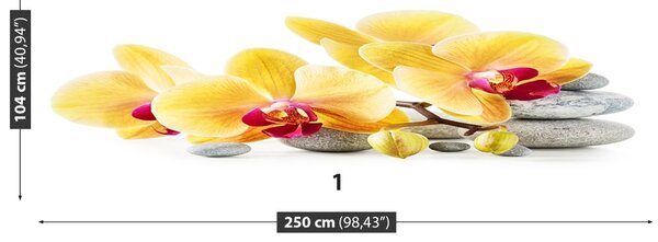 Fototapet Orhidee galben