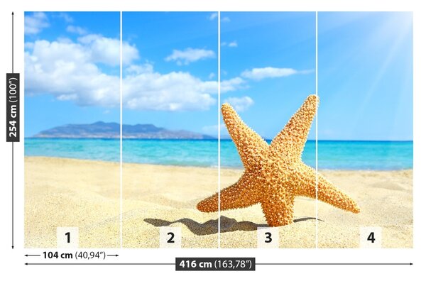 Fototapet Stea de mare. plajă