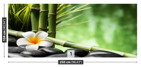 Fototapet frangipani Bamboo