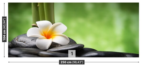 Fototapet Spa flori