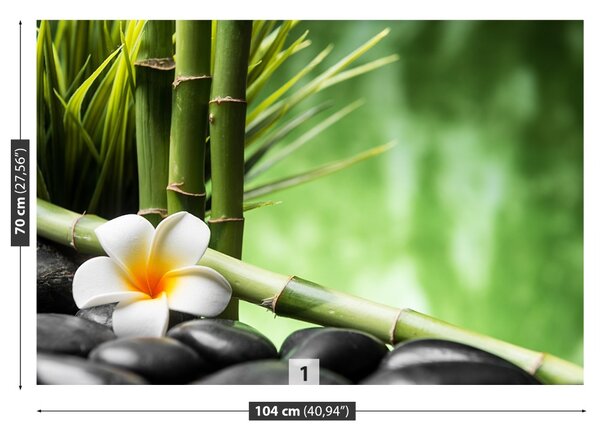Fototapet frangipani Bamboo