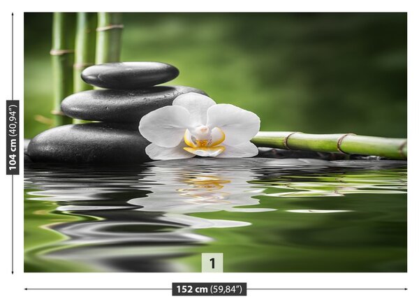 Fototapet Orchid Zen