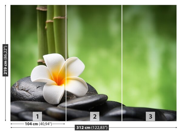 Fototapet Spa flori